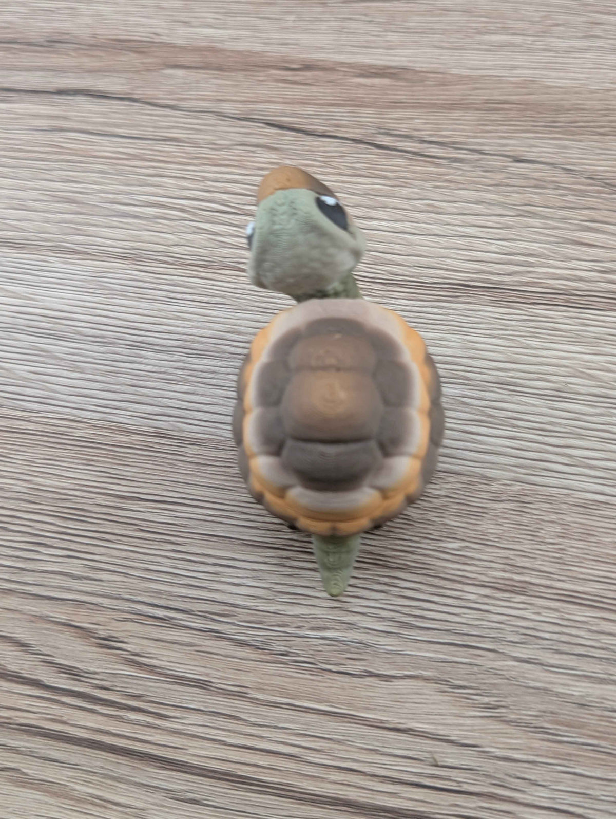 Mini Platypus