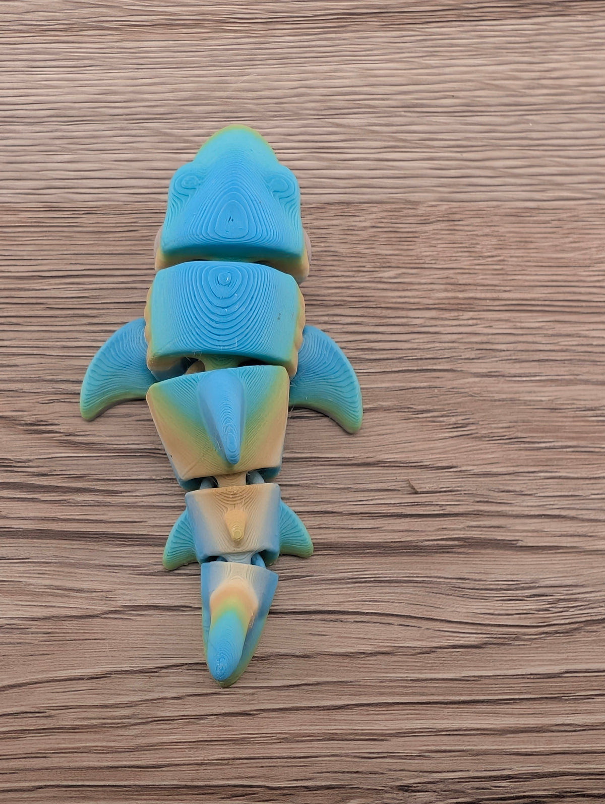 Overhead shot of the long, segmented shark toy. Layers of blue and pale yellow plastic show a striated texture.