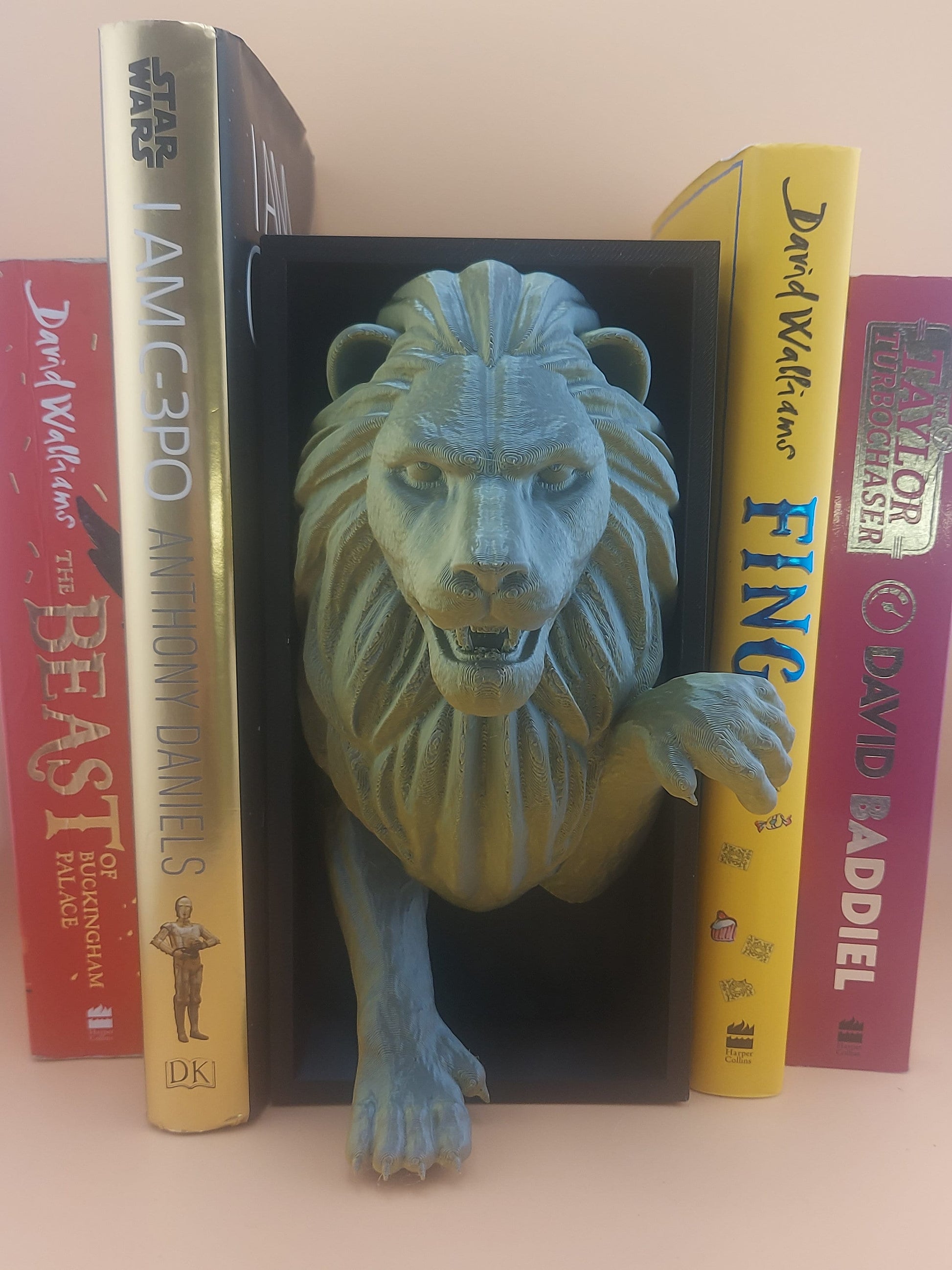 Lion Book Nook | Fantiasy Reader | Book Reader | Animal Kingdom | 3D Printed | Gifts